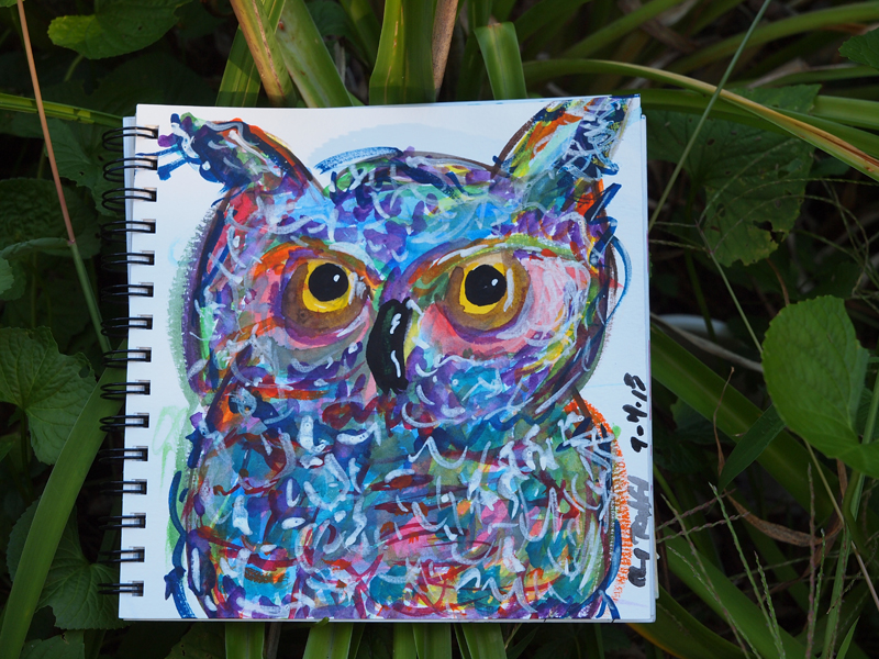 Owl of Many Colors