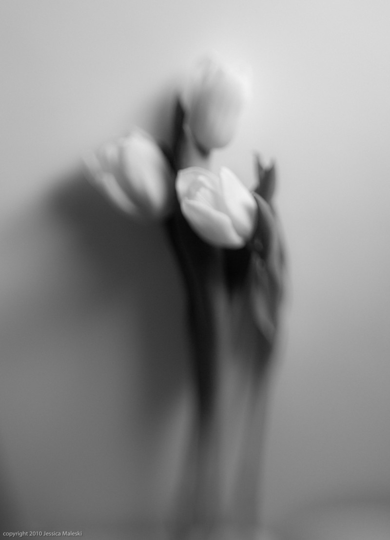 1303_prose_415 1303_prose_415