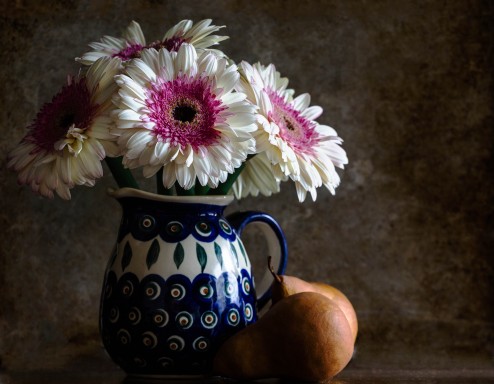 Gebera Daisy with Pears